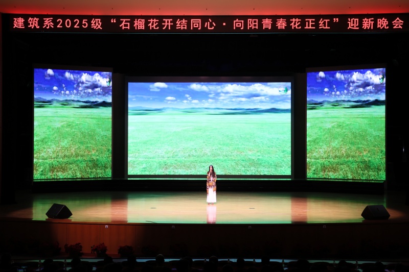 乌兰巴托的夜.jpg